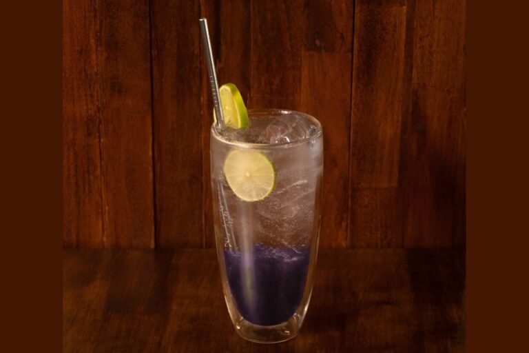 Blueberry Italian Soda 900 600